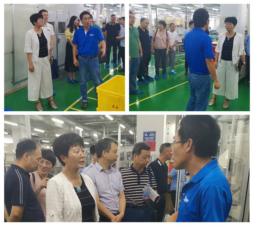 开云(中国电子)·KAIYUN官方网站