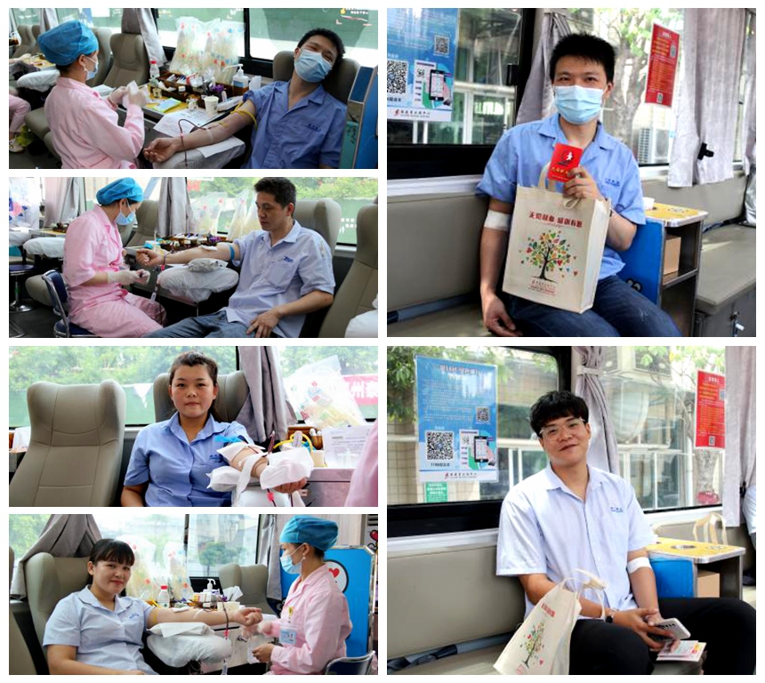 开云(中国电子)·KAIYUN官方网站