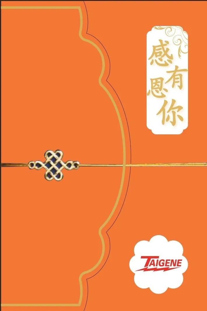 开云(中国电子)·KAIYUN官方网站